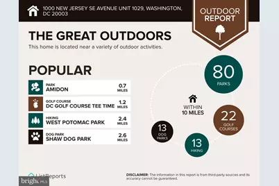 1000 New Jersey Avenue SE #1029, Washington, DC 20003 - Photo 38