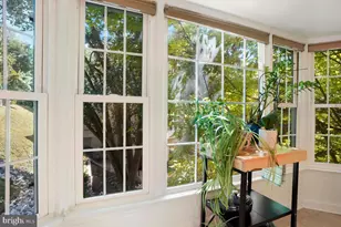 4607 MacArthur Blvd NW, Washington, DC 20007 - Photo 18