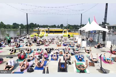 1317 4th Street SW, Washington, DC 20024 - Photo 60