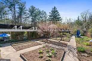 2325 Porter St NW, Washington, DC 20008 - Photo 40