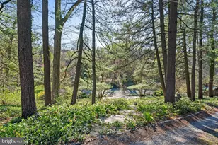 2325 Porter St NW, Washington, DC 20008 - Photo 48