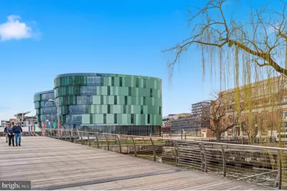 335 L Street SE, Washington, DC 20003 - Photo 44