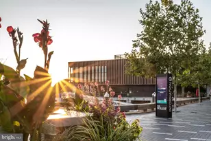 302 N St SW, Washington, DC 20024 - Photo 56