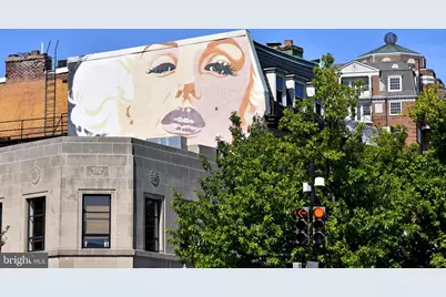 1731 Willard Street NW #105, Washington, DC 20009 - Photo 42