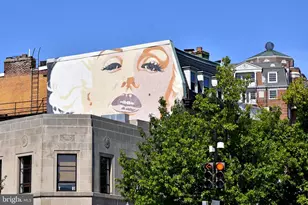 1731 Willard St NW, Washington, DC 20009 - Photo 42