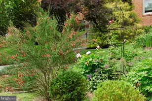 1755 Upshur St NW, Washington, DC 20011 - Photo 72