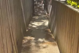 1117 O St NW, Washington, DC 20005 - Photo 26