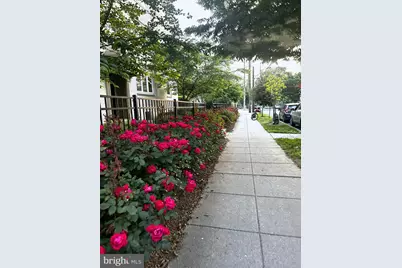 110 Gallatin Street NW #11, Washington, DC 20011 - Photo 20