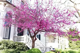 2500 Q St NW, Washington, DC 20007 - Photo 40