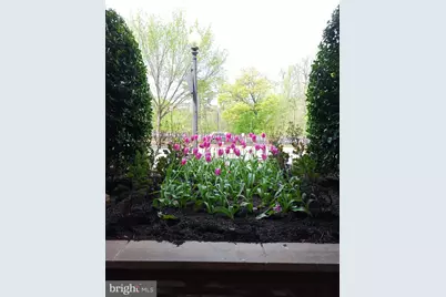 2500 Q Street NW #229, Washington, DC 20007 - Photo 34