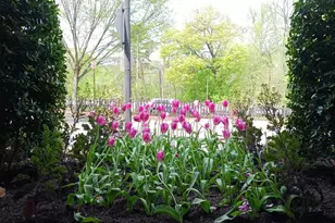 2500 Q St NW, Washington, DC 20007 - Photo 34