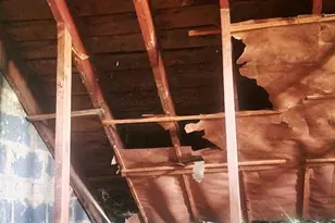 5220 Clay St NE, Washington, DC 20019 - Photo 12