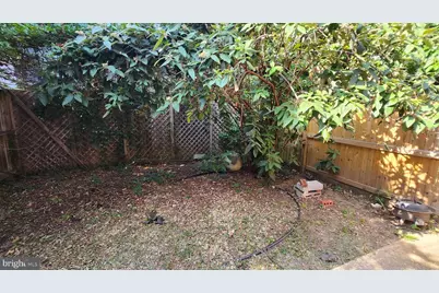 459 M Street NW #A, Washington, DC 20001 - Photo 6