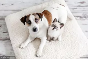 3334 10th Pl SE, Washington, DC 20032 - Photo 38