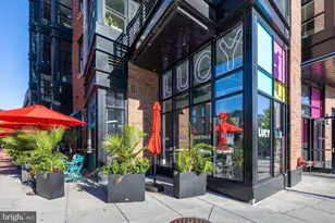 1451 Belmont St NW, Washington, DC 20009 - Photo 38