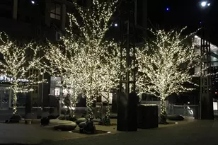 700 7th St SW, Washington, DC 20024 - Photo 44
