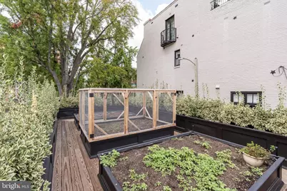 1619 19th Street NW, Washington, DC 20009 - Photo 48