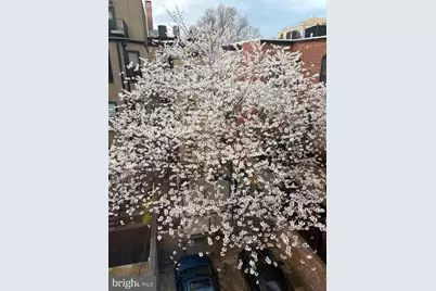 1420 Q Street NW, Washington, DC 20009 - Photo 68