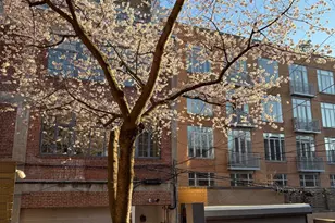 1420 Q St NW, Washington, DC 20009 - Photo 72