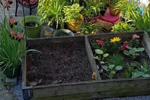 11 N St NW, Washington, DC 20001 - Photo 12