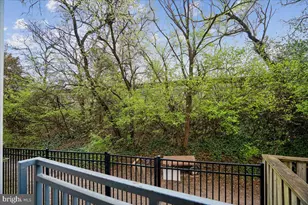 343 Cedar St NW, Washington, DC 20012 - Photo 28