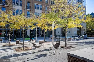 517 Montana Ave NE, Washington, DC 20017 - Photo 54