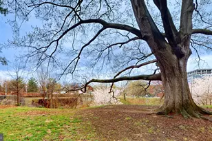 1001 26th NW, Washington, DC 20037 - Photo 22