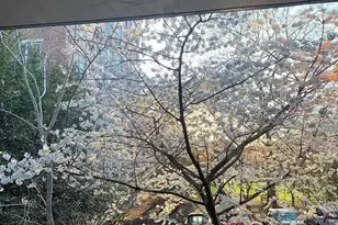 1318 22nd St NW, Washington, DC 20037 - Photo 14