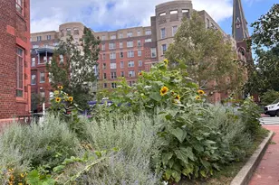 1239 Vermont Ave NW, Washington, DC 20005 - Photo 32