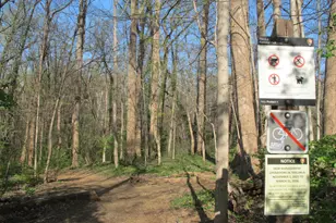 3835 Davis Pl NW, Washington, DC 20007 - Photo 20