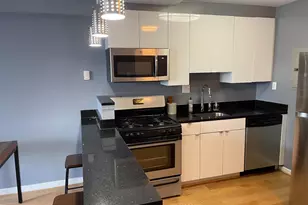 1101 3rd St SW, Washington, DC 20024 - Photo 88