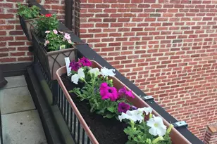 2125 S St NW, Washington, DC 20008 - Photo 24