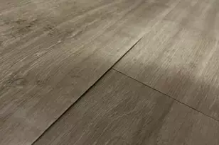 1841 North Capitol St NE, Washington, DC 20002 - Photo 4