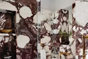 1835 Phelps Pl NW, Washington, DC 20008 - Photo 12