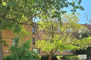 4729 1st St SW, Washington, DC 20032 - Photo 14