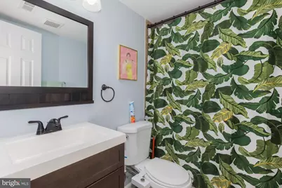 312 Bryant Street NE, Washington, DC 20002 - Photo 46