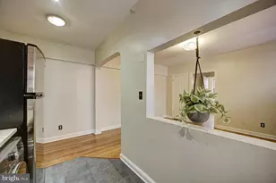 1439 Euclid St NW, Washington, DC 20009 - Photo 6