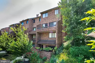 1023 Quincy St NE, Washington, DC 20017 - Photo 8