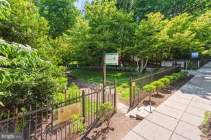 3039 Macomb St NW, Washington, DC 20008 - Photo 36