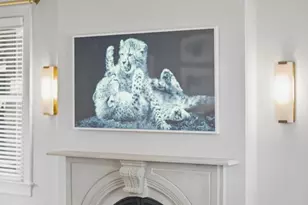 2812 34th St NW, Washington, DC 20008 - Photo 6