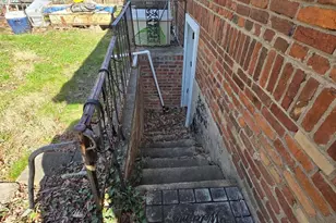 1139 44th Pl SE, Washington, DC 20019 - Photo 10