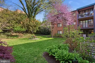 2325 42nd St NW, Washington, DC 20007 - Photo 28