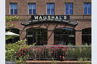 3101 New Mexico Avenue NW #1001, Washington, DC 20016 - Photo 34