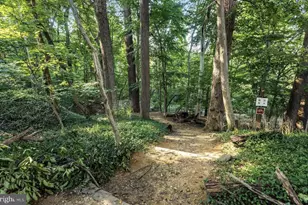 3849 Macomb St NW, Washington, DC 20016 - Photo 56