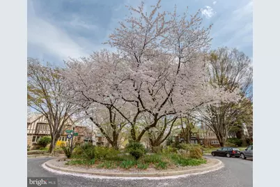 4421 Volta Place NW, Washington, DC 20007 - Photo 34