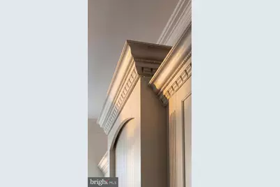 2913 University Terrace NW, Washington, DC 20016 - Photo 18