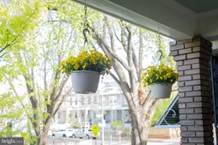 1127 Trinidad Ave NE, Washington, DC 20002 - Photo 24