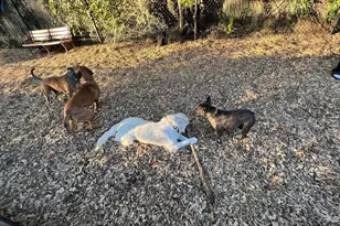 3100 Wisconsin Ave NW, Washington, DC 20016 - Photo 22