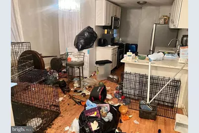 1014 6th Street NE, Washington, DC 20002 - Photo 4