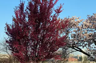 950 25th St NW, Washington, DC 20037 - Photo 32